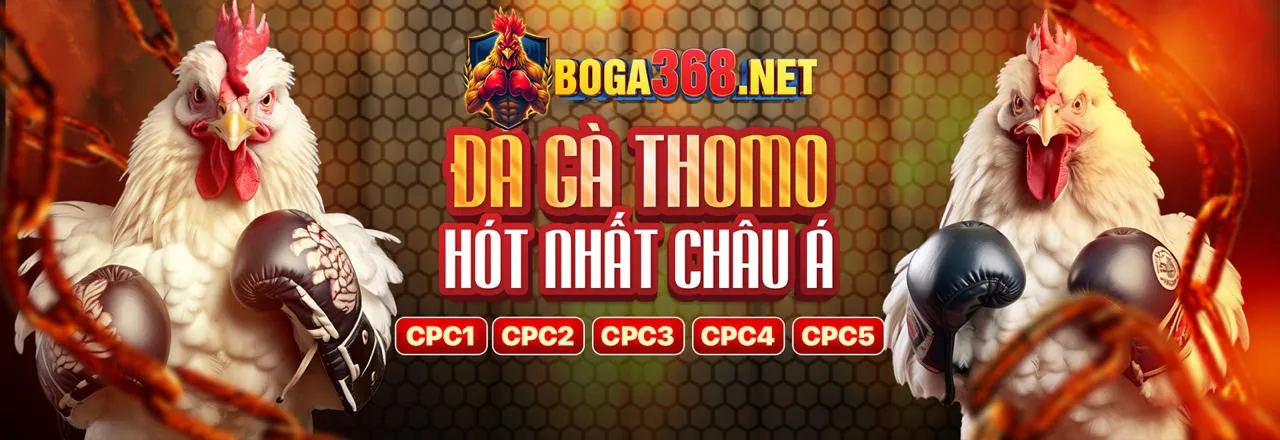 Tính năng mới 5mb Nổ Hũ